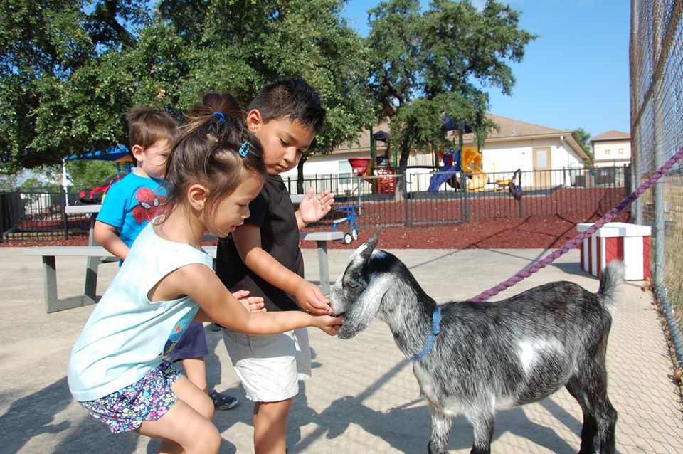 children playing with goat outside at a pre-k facility in Antonio, TX
